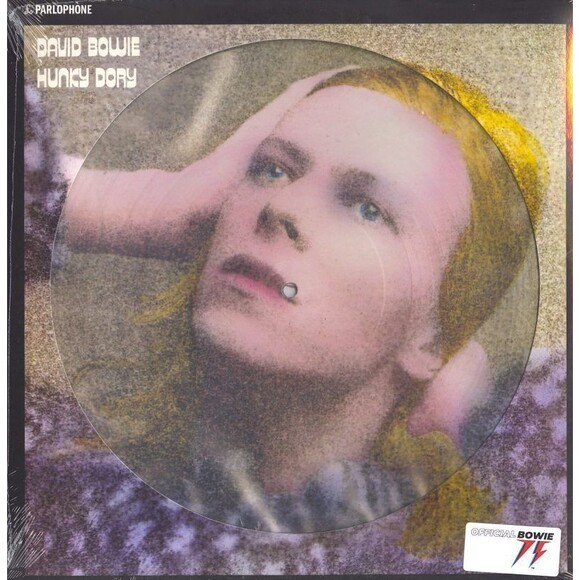 David Bowie Hunky Dory NEW Sealed Picture Disc Vinyl Record LP Remastered